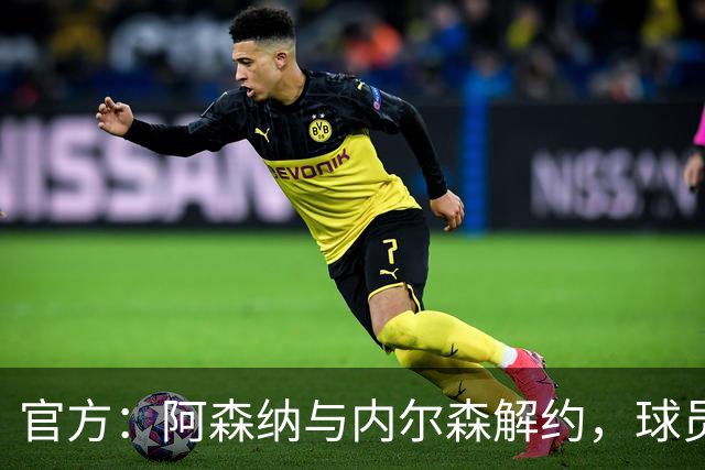 官方：阿森纳与内尔森解约，球员成自由身