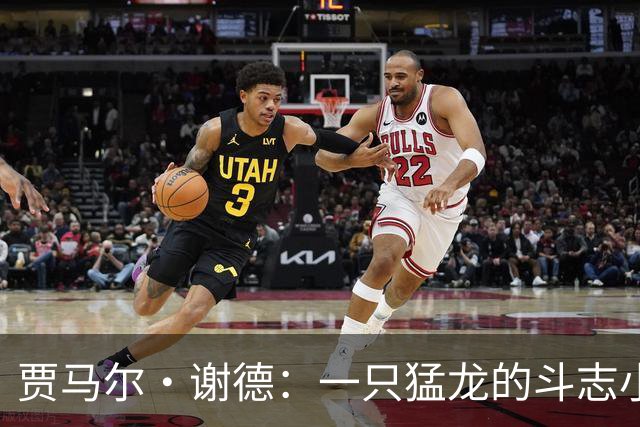 贾马尔·谢德：一只猛龙的斗志小巨人，闪电般的三分希望！